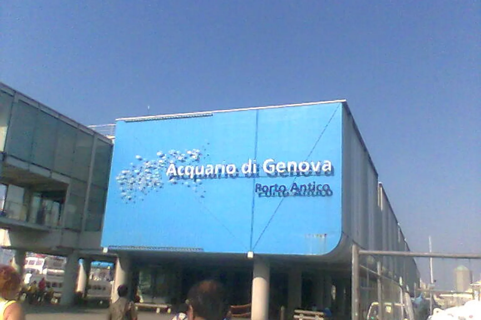 Acuario de Génova entradas: pasos para organizar tu visita
