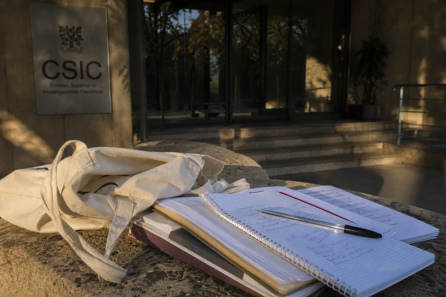 Cómo acceder a la bolsa de empleo del CSIC: requisitos y pasos para tu solicitud