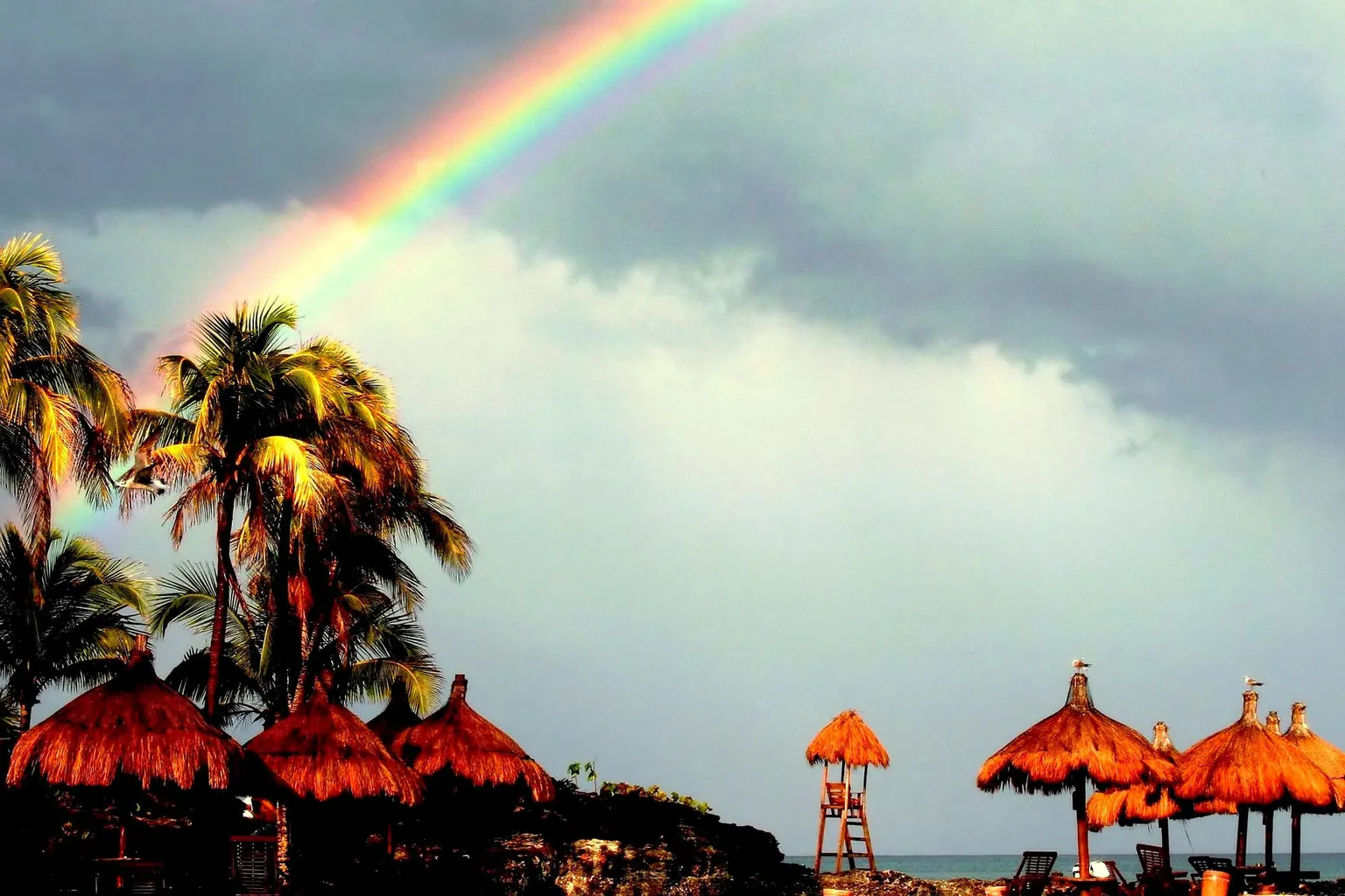 Visita a Parque Xcaret: ruta y preparación por etapas