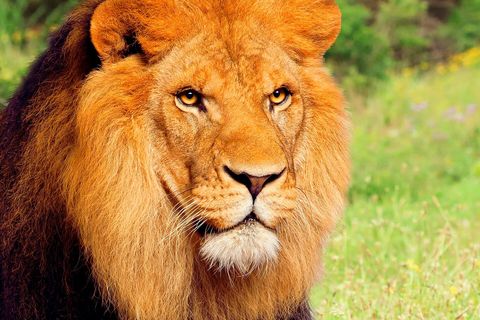 Plan de visita a Terra Natura Benidorm: ruta paso a paso