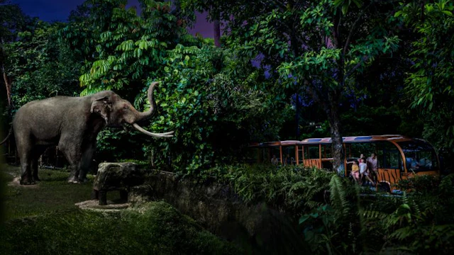 Safari nocturno de Singapur